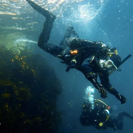 ホテル Harbour House 5*