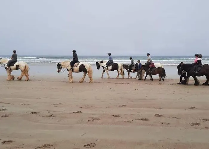 מלון Harbour House