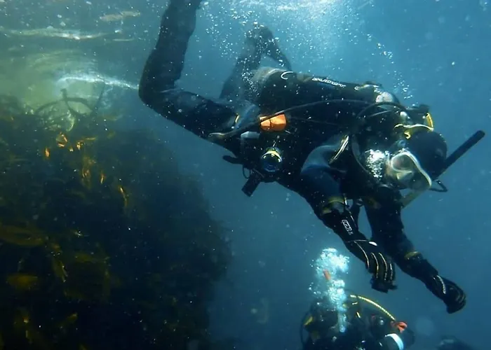 Szálloda Harbour House 5*